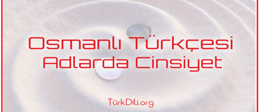 Osmanlı Türkçesi Adlarda Cinsiyet