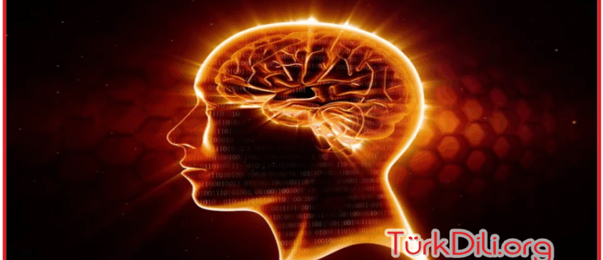 “Akıl” ve “Us” Arasındaki Dilsel Gerilim